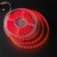 LED flexible strip16083035R
